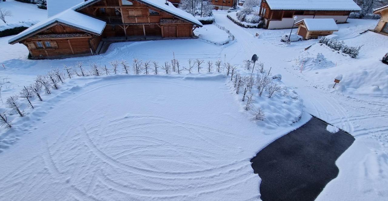 Chalet Arpitan - Les Carroz - Grand Massif المظهر الخارجي الصورة