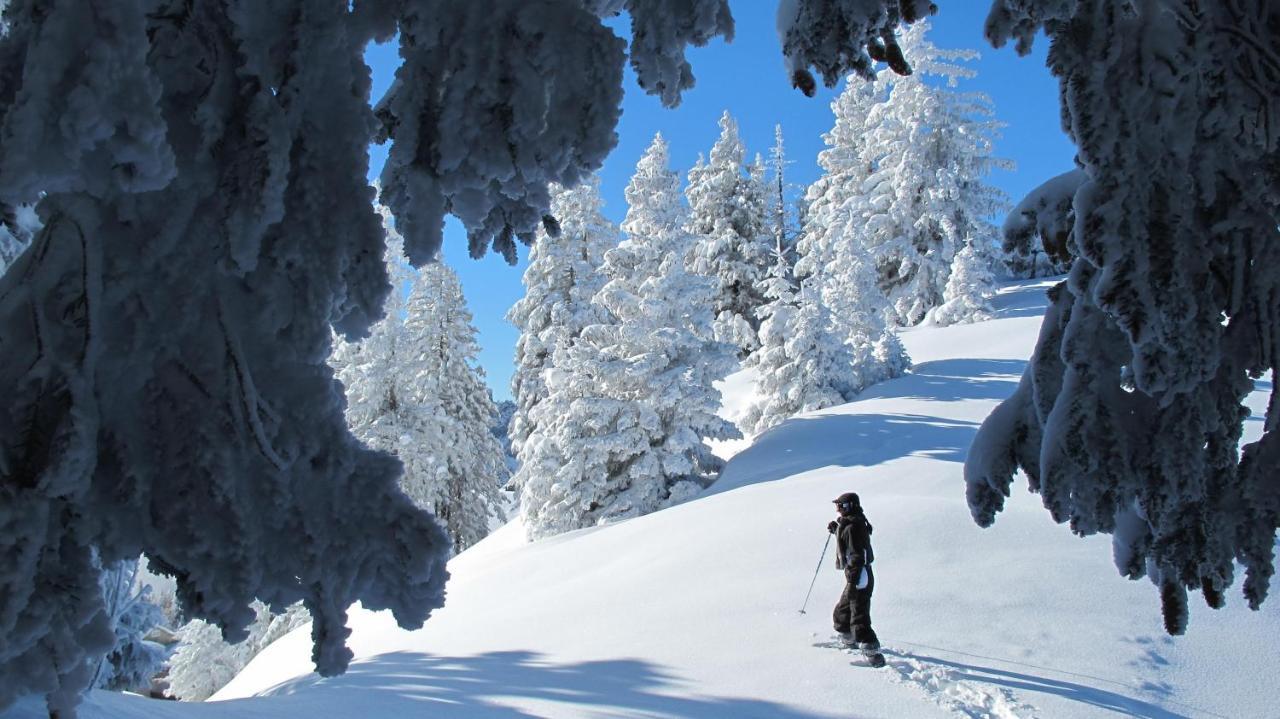 Chalet Arpitan - Les Carroz - Grand Massif المظهر الخارجي الصورة