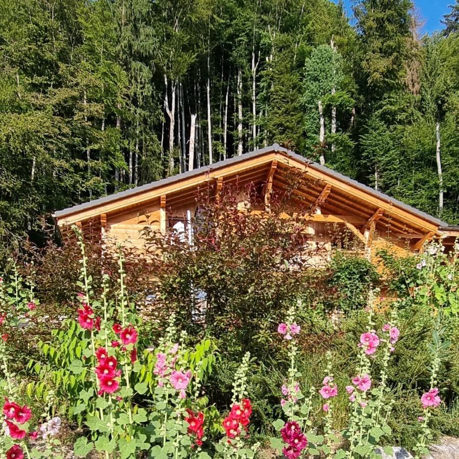 Chalet Arpitan - Les Carroz - Grand Massif المظهر الخارجي الصورة