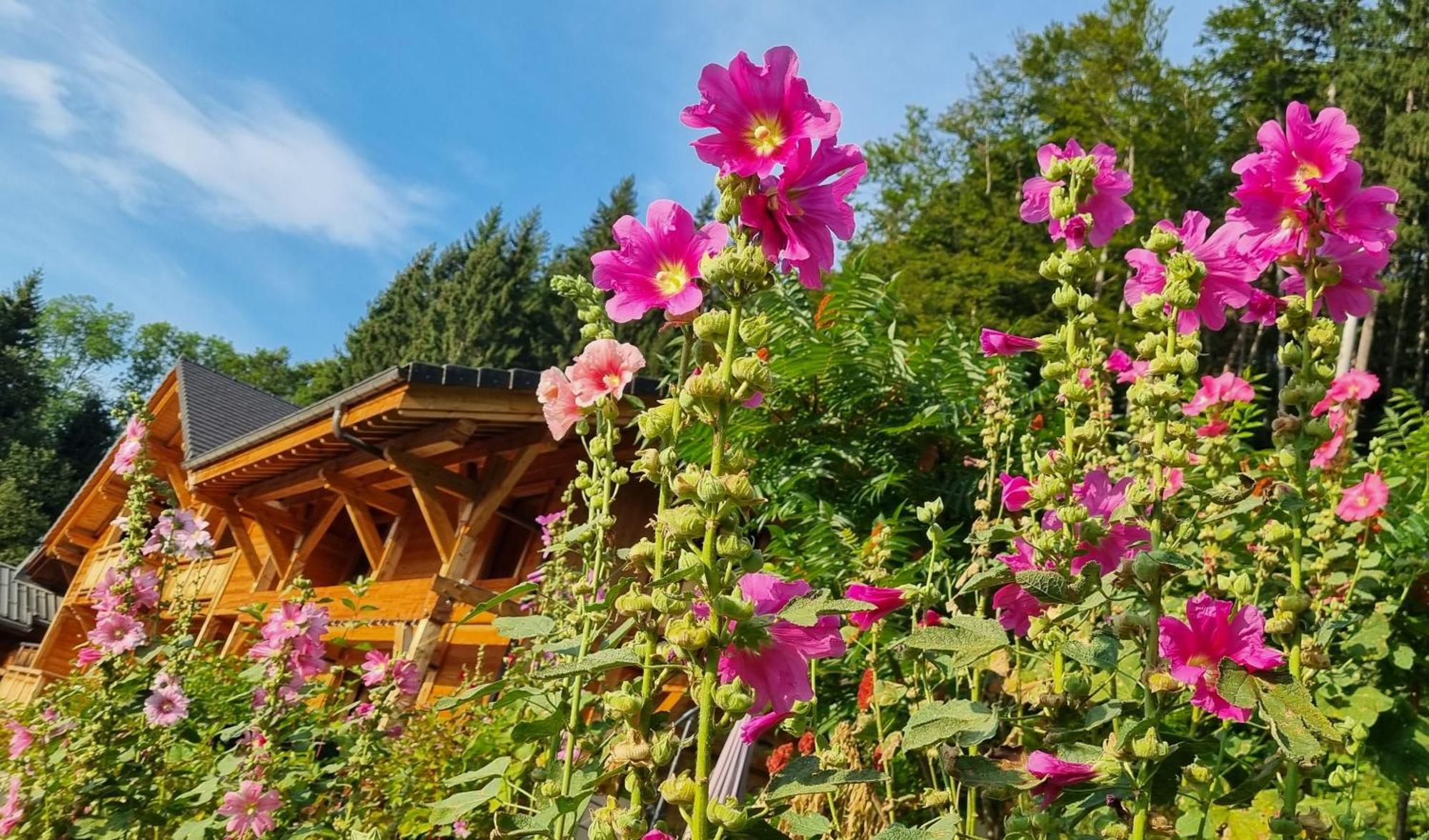 Chalet Arpitan - Les Carroz - Grand Massif المظهر الخارجي الصورة